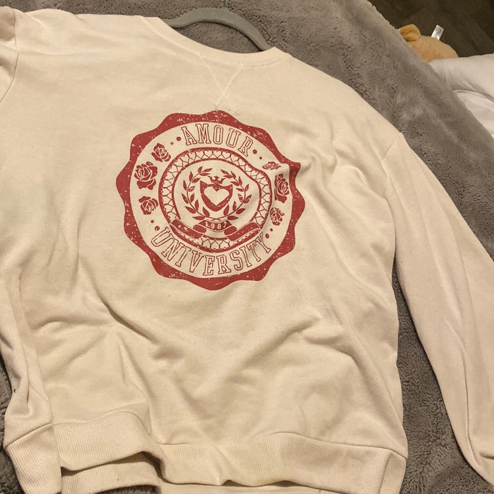 Cute amour university sweater